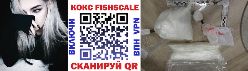 COCAIN Fish Scale  Купить закладки  Катайск 