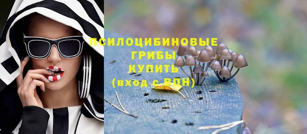 индика Елабуга