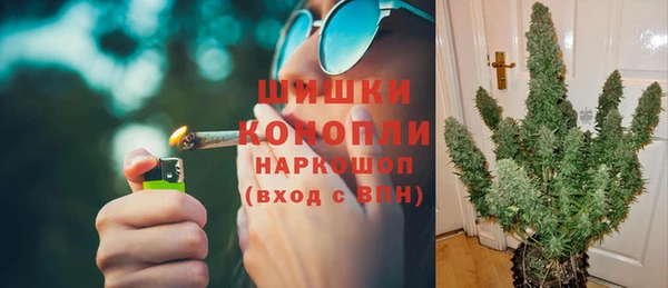 молекула духа Ельня
