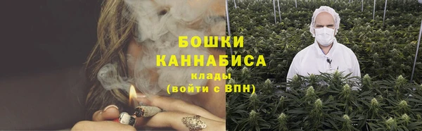 молекула духа Ельня