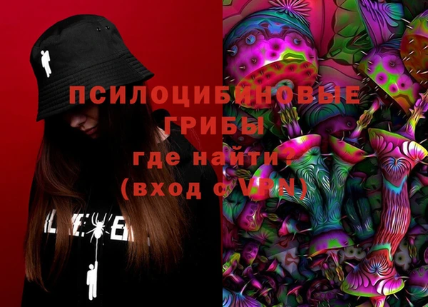гидра Елизово