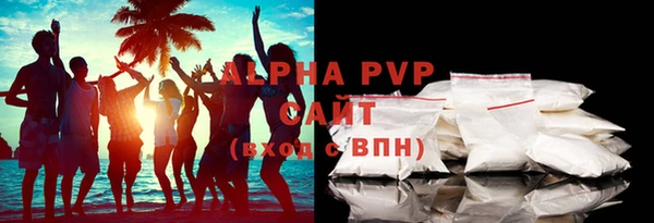 индика Елабуга