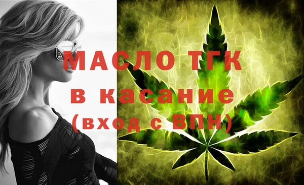 гидра Елизово