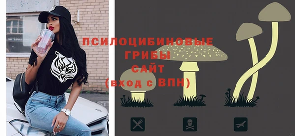 гидра Елизово
