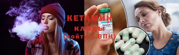 индика Елабуга