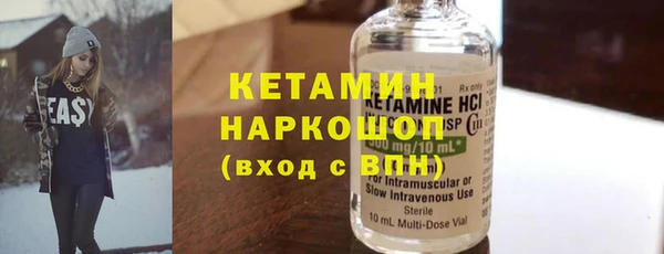 индика Елабуга