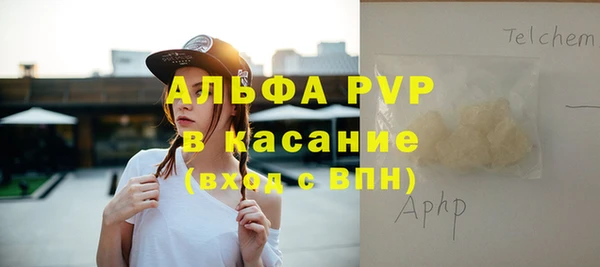 молекула духа Ельня