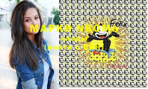 индика Елабуга