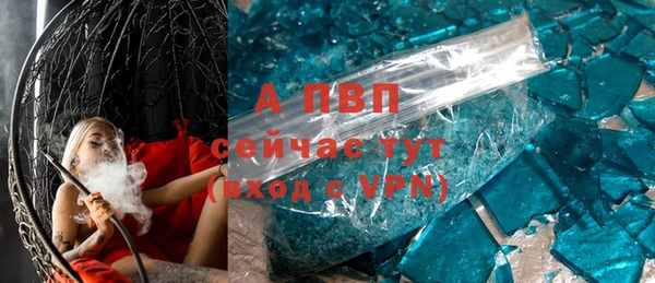 молекула духа Ельня