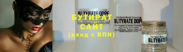 индика Елабуга