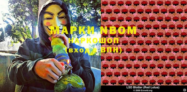 молекула духа Ельня