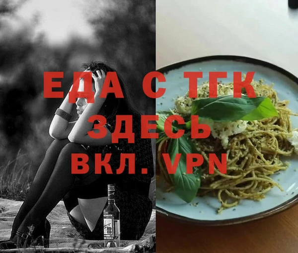индика Елабуга