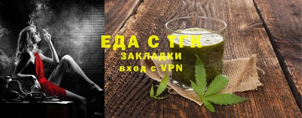 индика Елабуга