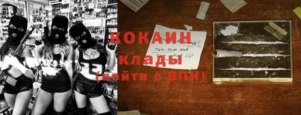 гидра Елизово