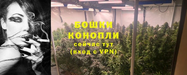 гидра Елизово