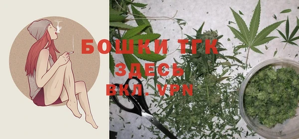 молекула духа Ельня
