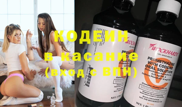 молекула духа Ельня