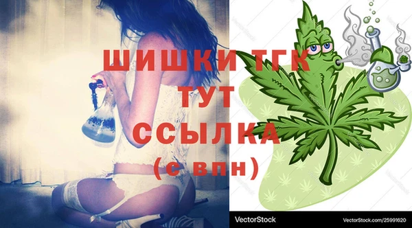 молекула духа Ельня