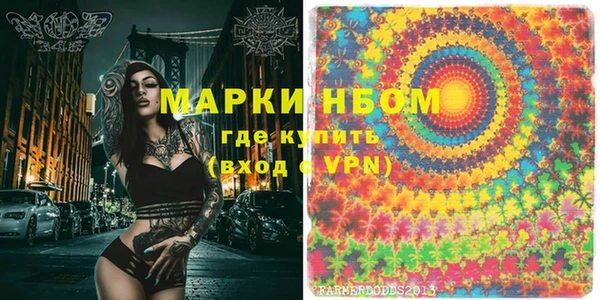 гидра Елизово