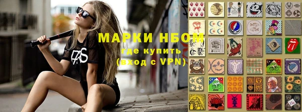 молекула духа Ельня