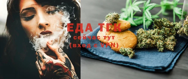 индика Елабуга