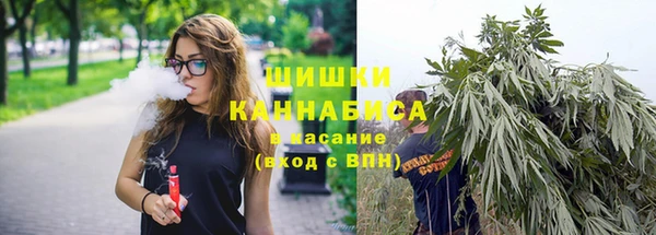 молекула духа Ельня