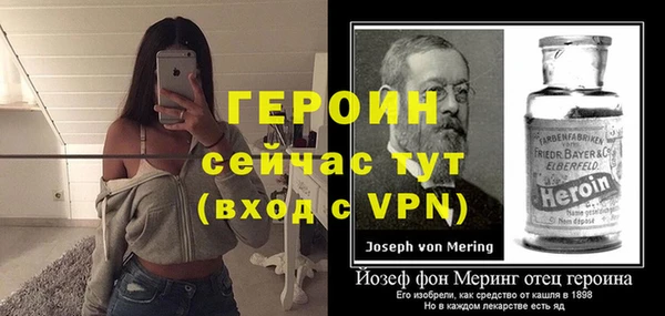 гидра Елизово