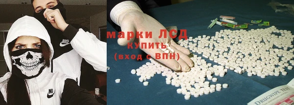 гидра Елизово