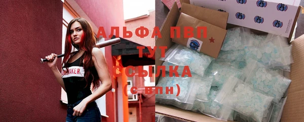 гидра Елизово