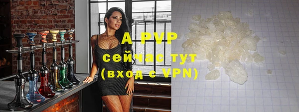 индика Елабуга