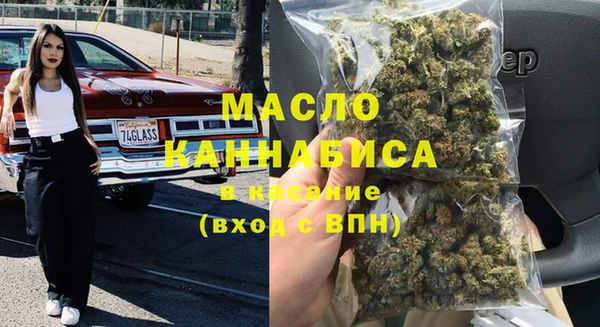 индика Елабуга