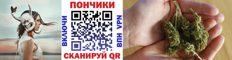 Купить  Катайск  Бошки Шишки марихуана 